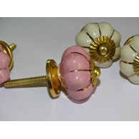 Set von 6 Kürbisknöpfen 32 mm 3 Rosen und 3 beige