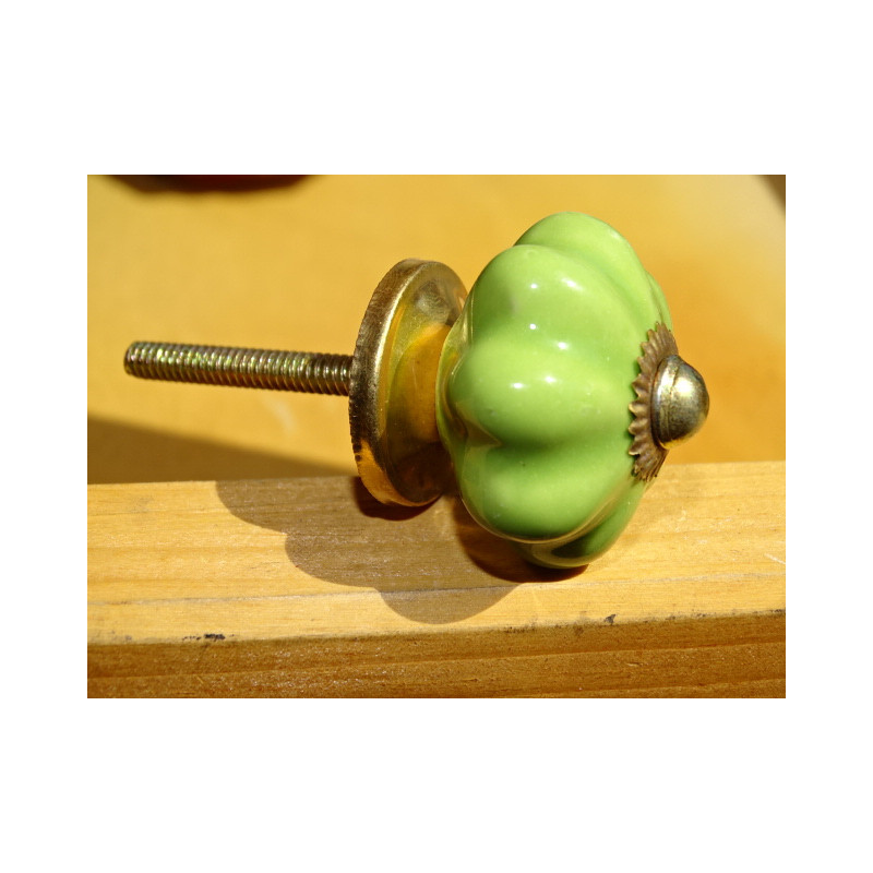 small pumpkin handles green spring