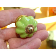 Pequeña manijas calabaza verde primavera