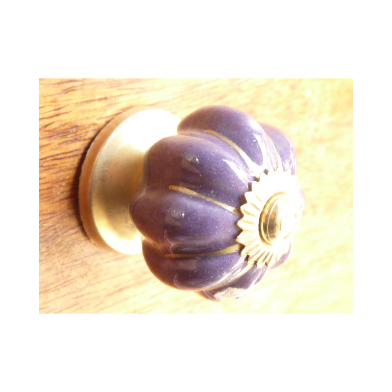 Mini zucca bottoni dorati viola tratto unito