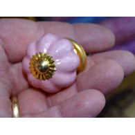 Pastellrosa  Griffe kleine Kürbis
