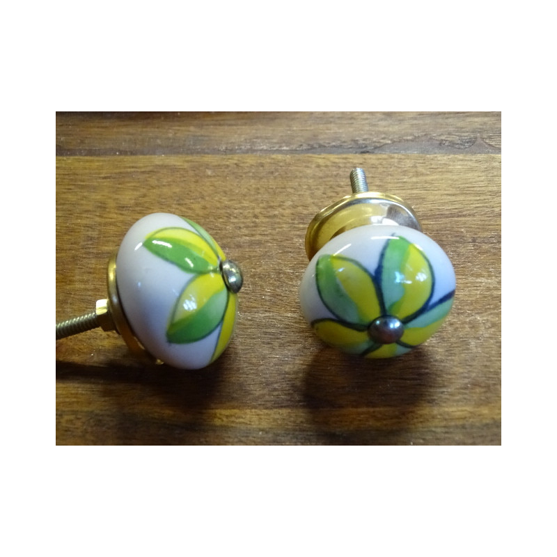 Maneggiare verde porcellana e fiore giallo