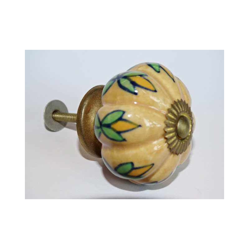 Calabaza mango follaje de color de ante