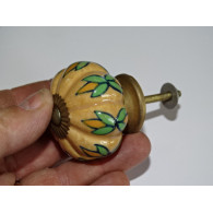 Boutons citrouille chamois feuillages