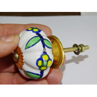 Boutons citrouille blanche 5 fleurs jaunes